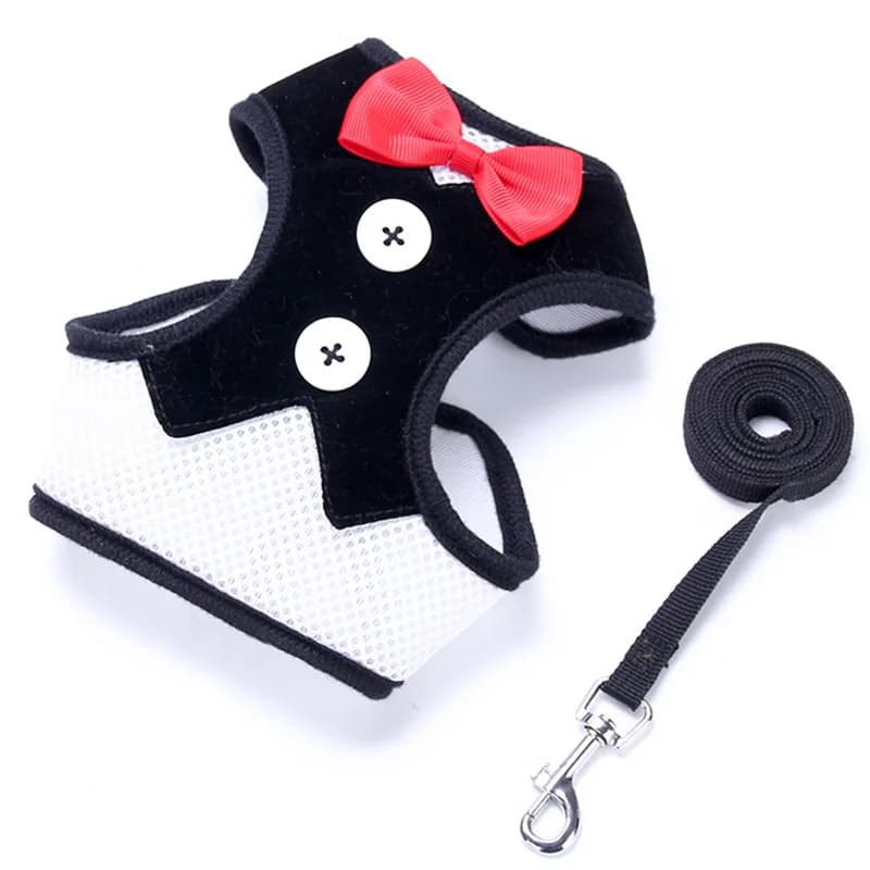 Elegante gilet per imbracatura per cani con cravatta a farfalla con guinzaglio regolabile guinzaglio per gatti Set vestito da smoking con nodo a fiocco carino per gatti cucciolo di gattino