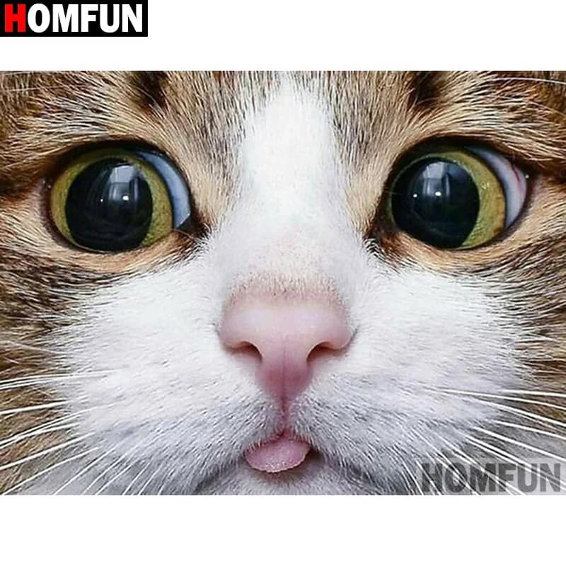 HOMFUN punta quadra/rotonda 5D pittura diamante DIY "Animal cat" 3D diamante ricamo punto croce decorazioni per la casa A19841