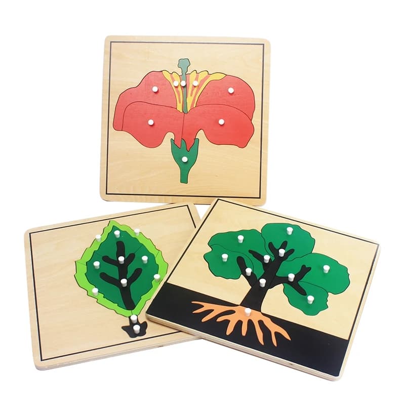 Materiali Montessori per bambini Puzzle in legno Giocattoli educativi Pannello per la crescita delle piante Giocattolo in legno Apprendimento Tangram/Jigsaw Per i più piccoli in età prescolare