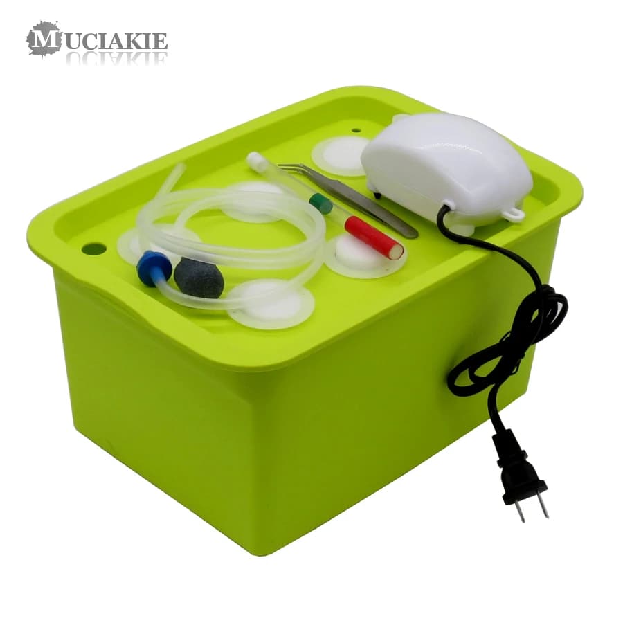 1 KIT 220/110V Sistemi Idroponici Pianta Sito 6 Fori Vasi Vivaio Coltivazione Fuori Suolo Pianta Piantina Crescere KIT coltura idroponica