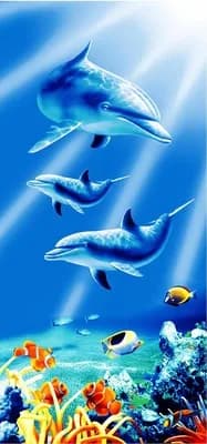 Asciugamano da bagno Ocean Dolphin in microfibra per adulti Asciugamano da spiaggia Asciugamani da bagno da viaggio in microfibra ad asciugatura rapida Terry