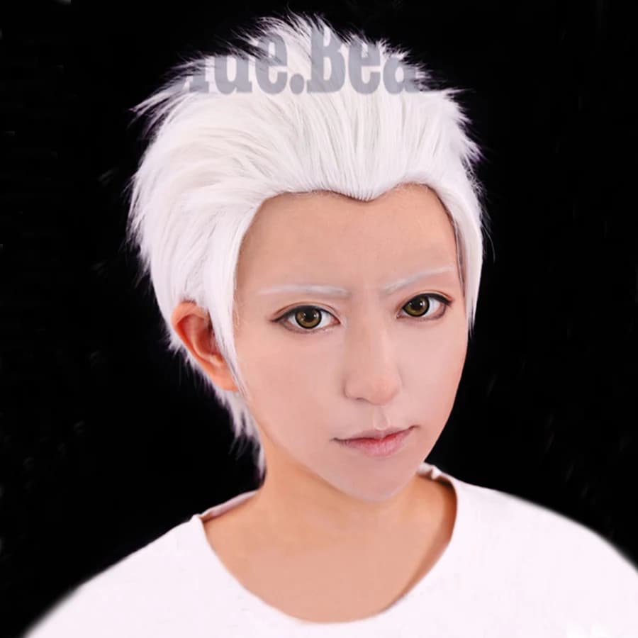 Gioco Fate Stay Night Go Extra Archer Emiya corto bianco resistente al calore capelli sintetici Cosplay parrucca + cappuccio parrucca