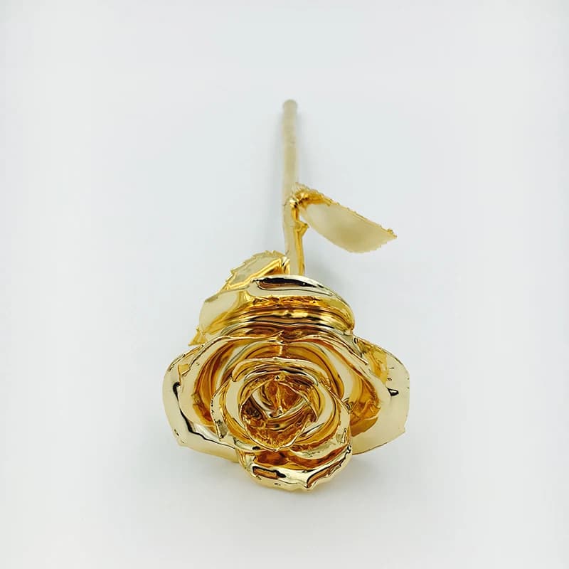 Real Nature Rose 24k Gold immerse Rose Artificial Rose Flower con confezione regalo Red Gold Rose for Lover