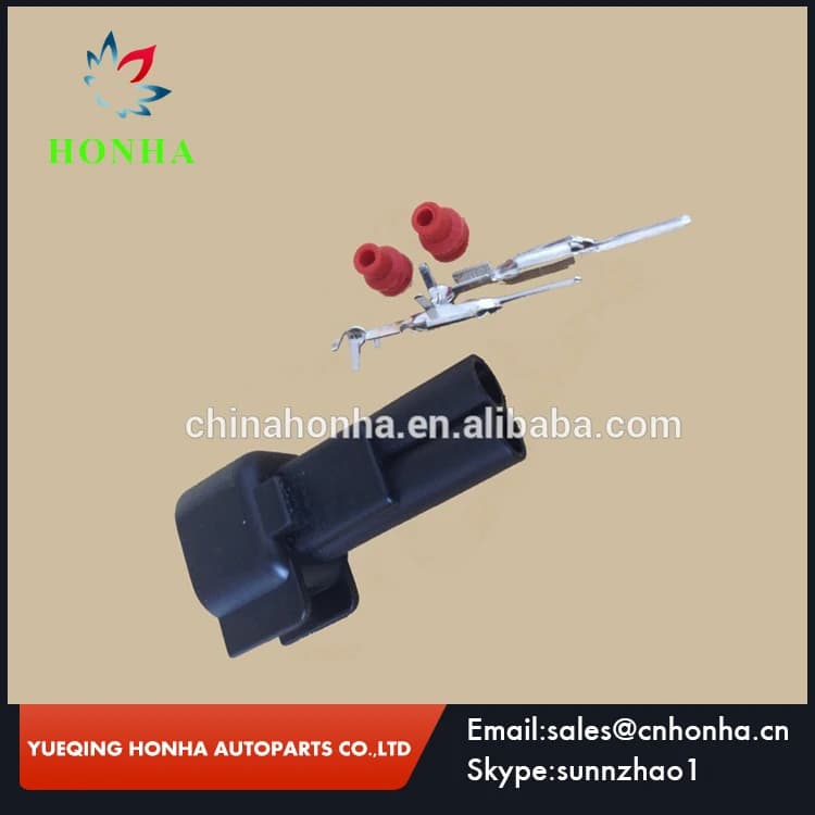 EV6 EV14 Connettore automatico iniettore carburante cablaggio maschio impermeabile a 2 pin