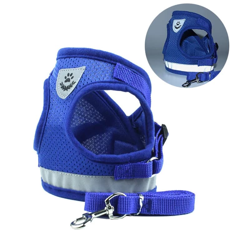 Guinzagli per cani estivi Set di imbracature Gilet in nylon traspirante Riflettente regolabile per cani Gatti Camminate all'aperto Giocare a prodotti per animali domestici