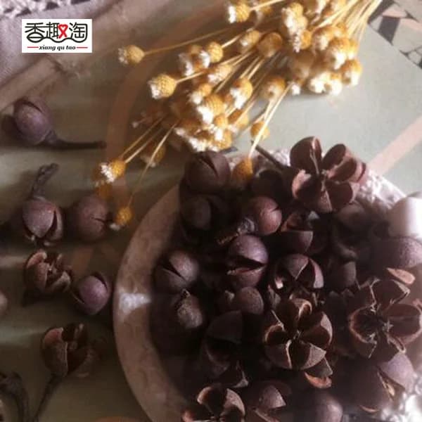 10 pz Secca Croce Pianta Frutta Del Fiore Per La Decorazione Della Casa Vacanza Scatole e Confezioni per dolci Sacchetto Sede Della Decorazione Del Mestiere Accessori FAI DA TE
