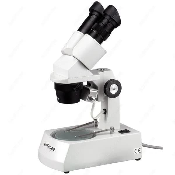 Microscopio Stereoscopico Binoculare AmScope 20X-60X+ con Testa Inclinabile, Supporto in Metallo, Illuminazione Alogena Superiore e Inferiore