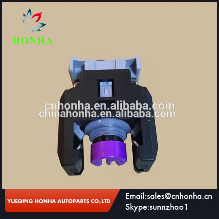 Connettore per ugello iniettore H5H6 per motore common rail diesel EFI a 2 pin 13816706