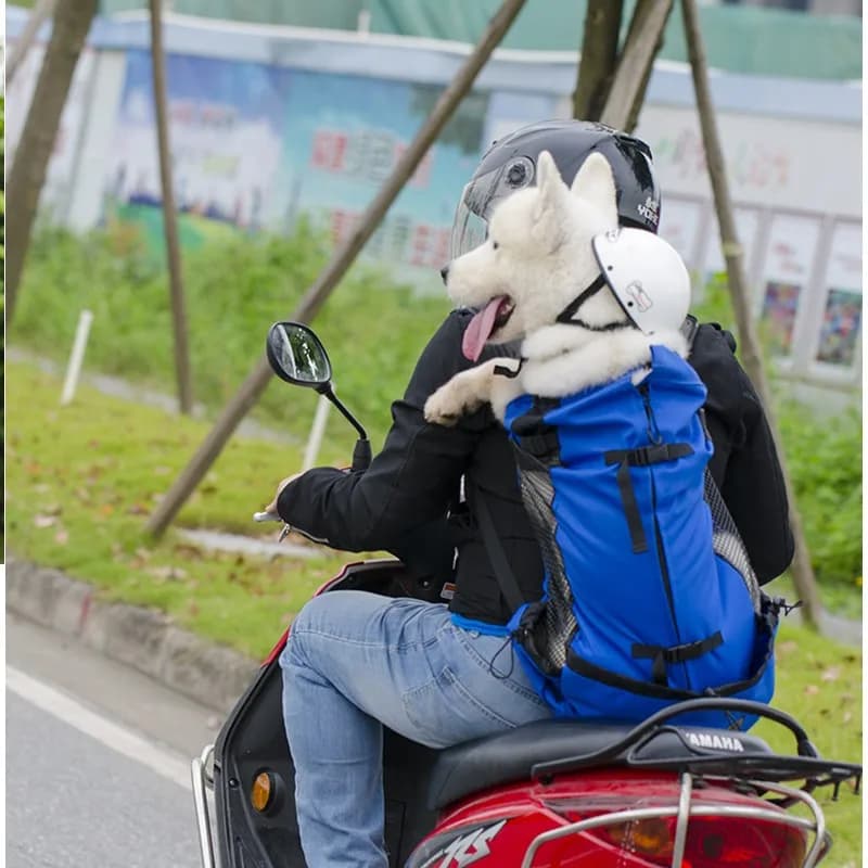 Escursionismo Pet Dog Carrier zaino da viaggio ventilazione esterna traspirante bicicletta moto Sport all'aria aperta borsa a rete Drop Shipping
