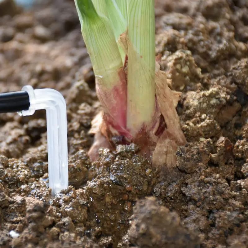 100 pz. Bianco Gocciolatore a Freccia 4/7 per Irrigazione a Goccia, Emettitore Curvo per Piante, Micro Irrigazione per Tubi da 4/7m