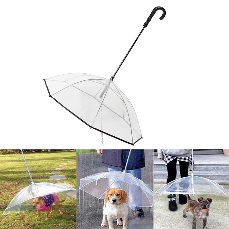 Nuovo Pet Trasparente Ombrelli Piccolo Cane Ombrello Con Il Guinzaglio Del Cane Catena di Ferro Come Impermeabile Per Cani Bella Cornici e articoli da esposizione Forniture Per Animali Da Compagnia