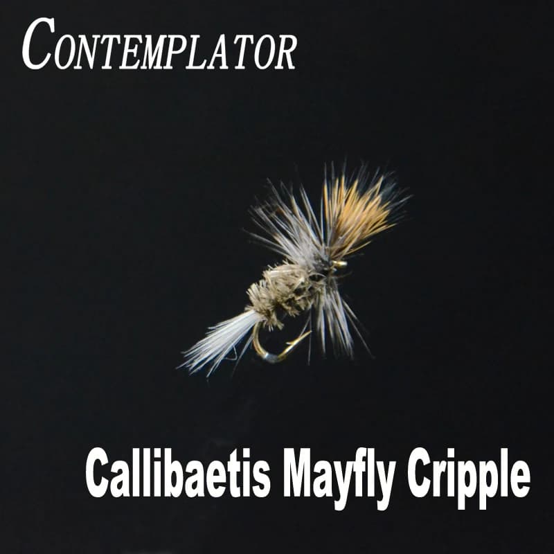 Sublimatore 5 pz/scatola 16 # Callibaetis Mayfly storpio mayflys aspiranti esche a mosca secca pesca a mosca artificiale false mosche esca