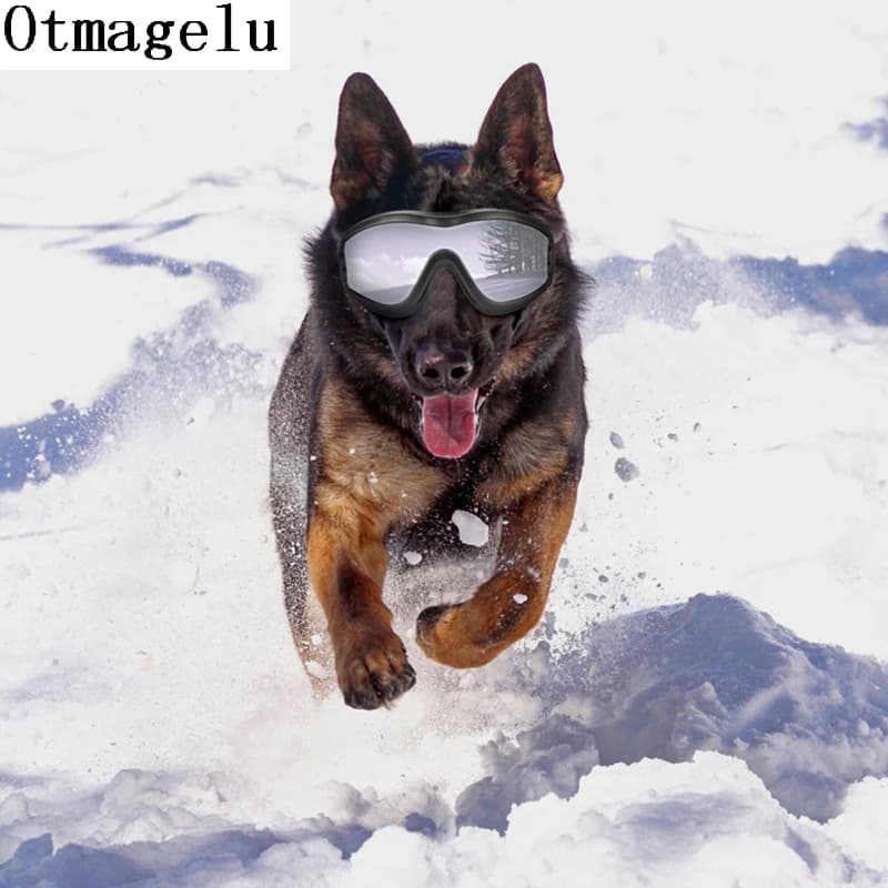 Sunglasses for Outdoor Dogs UV Protection Windproof Glasses for Pets View Glasses for Dog Swimming Glasses for Dogs