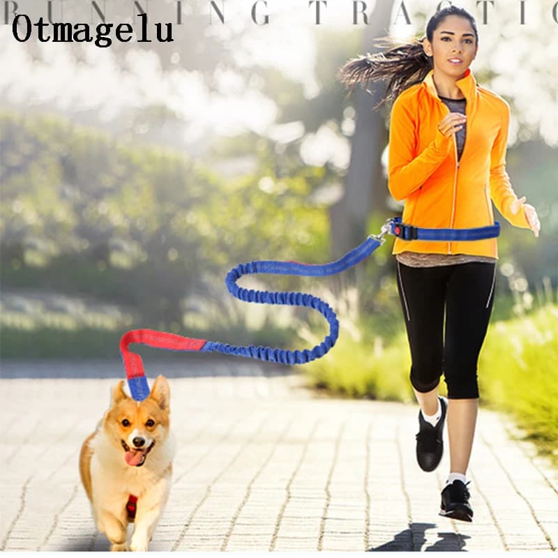 Set di corde per cintura di trazione elastica per cani Guinzaglio per cani Pet Run con custode Guinzaglio sportivo per animali domestici con cintura Guinzaglio per animali multifunzionale a mano libera
