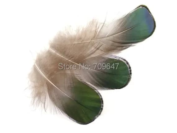 200 Pezzi/Lotto! Piume di Lady Amherst Verdi Bronzate 5-7cm, Piume Naturali per Orecchini | Forniture per Gioielleria e Artigianato di Moda