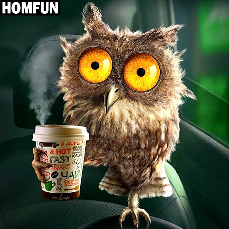 HOMFUN Full Square/Round Drill 5D DIY Diamond Painting "Drink coffee owl" Embroidery Cross Stitch 5D Rhinestone Home Decor
