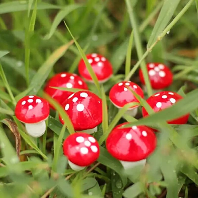 Vendita calda 10 pz Mini fungo rosso ornamento da giardino in miniatura vasi per piante fata fai da te casa delle bambole giocattolo in miniatura decorazione