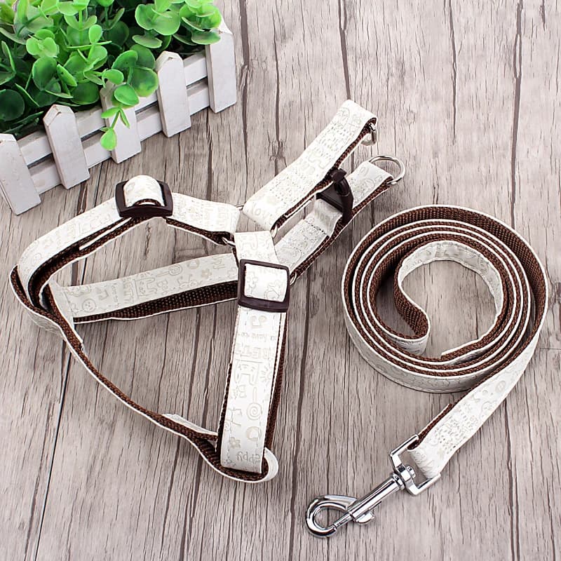 Guinzagli per cani di moda 4 dimensioni regolabili PU + Nylon Set di imbracature per animali domestici guinzaglio da allenamento cintura da passeggio per cani di piccola taglia media gatti