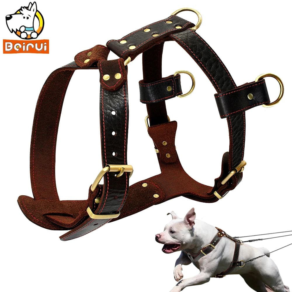 Genuino Cane Finimenti di Cuoio Marrone Camminare Formazione Pettorine 23 ''-34.5'' Regolabile Petto Grandi Cani Pitbull Alaskan Malamute