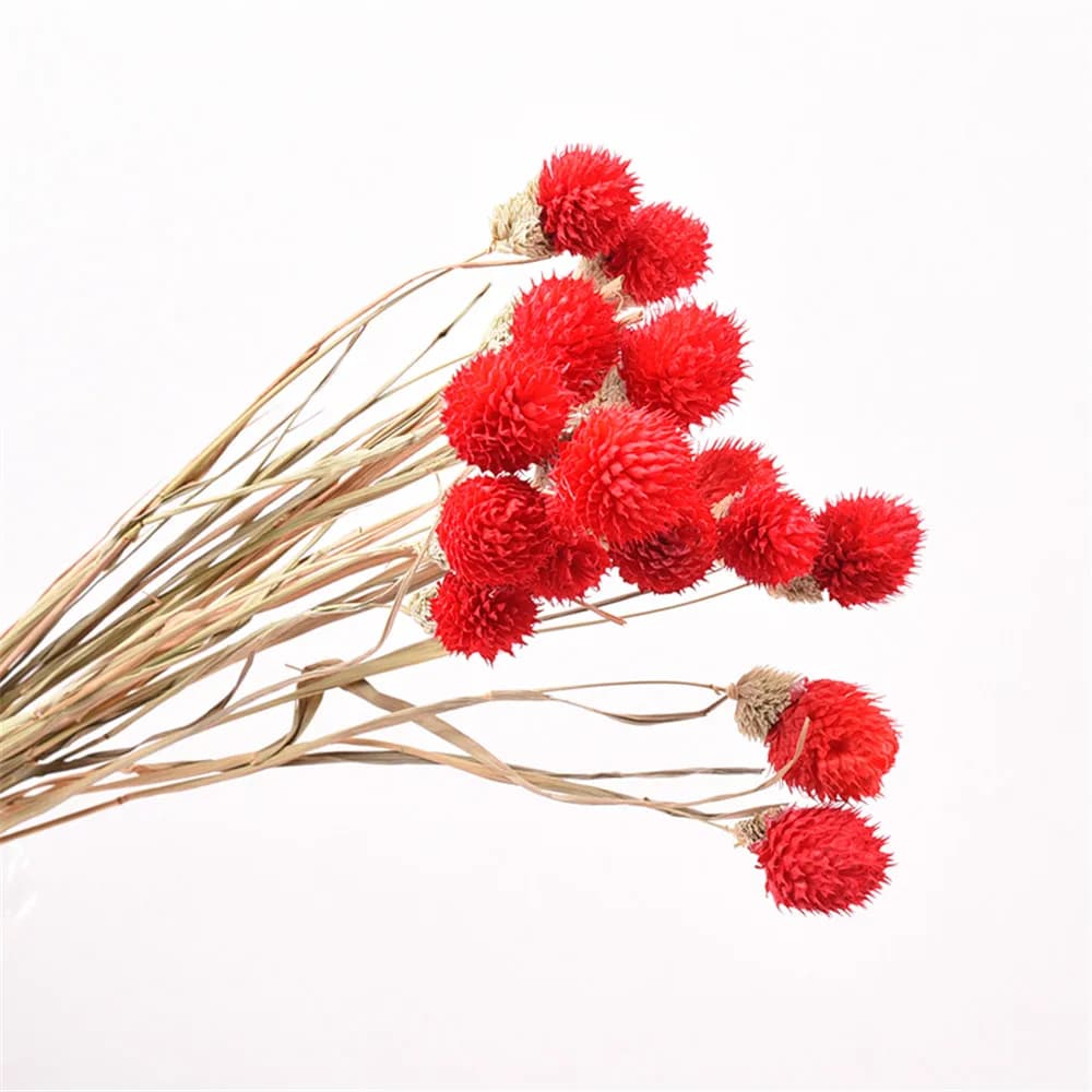 15 pezzi mazzi di fiori naturali viola mazzi secchi mazzi di frutta fragola selvatica