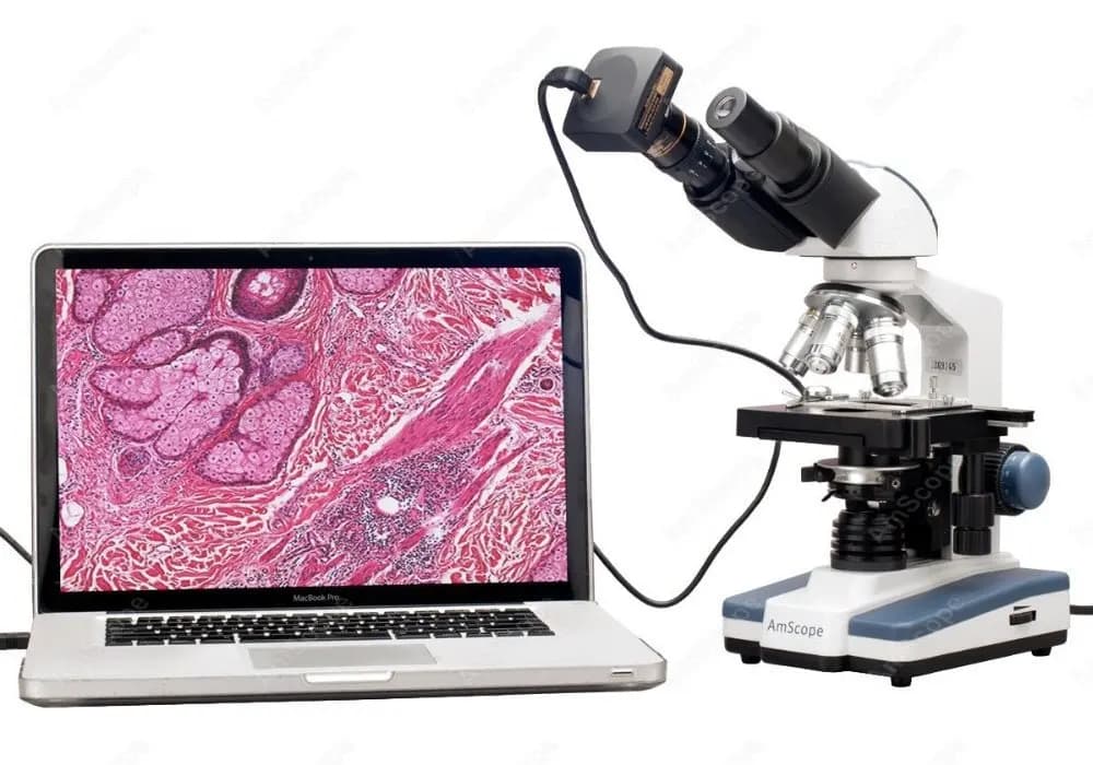Microscopio Composto Binoculare LED AmScope 40X-2000X+ con Testa Siedentopf, Tavolino Meccanico 3D e Fotocamera USB 2.0 da 8MP