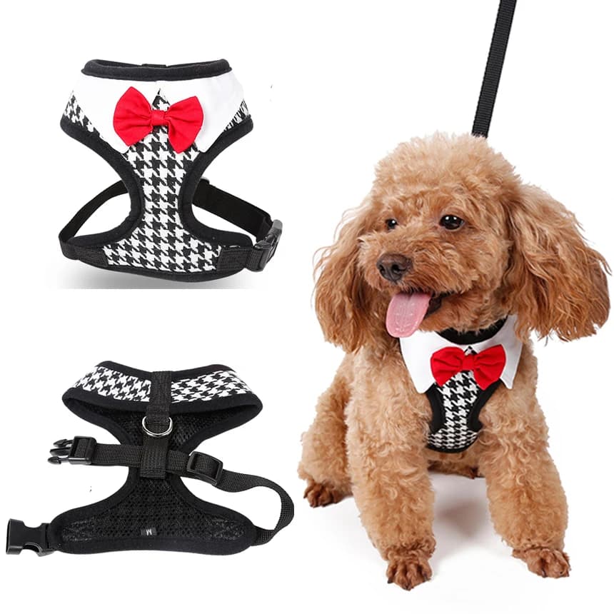 Signore Del Cane Collari E Pettorine Nero Piviere Bow Pet Guinzagli Accessori Per Il Cucciolo di Animale Piccolo Chihuahua Yorkie Giocattolo Terrier