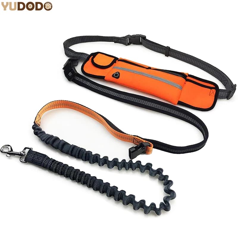 Free Hand Elastic Dog Drive, Adjustable Padding, Life, Reflective, Running, Jogging, Walking, Pet Friendly, Bags