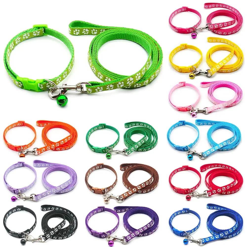 24 set guinzaglio per cani e gatti guinzagli regolabili collare cucciolo passeggiate all'aperto personalizzato Terier Schnauzer corda di trazione esterna generale