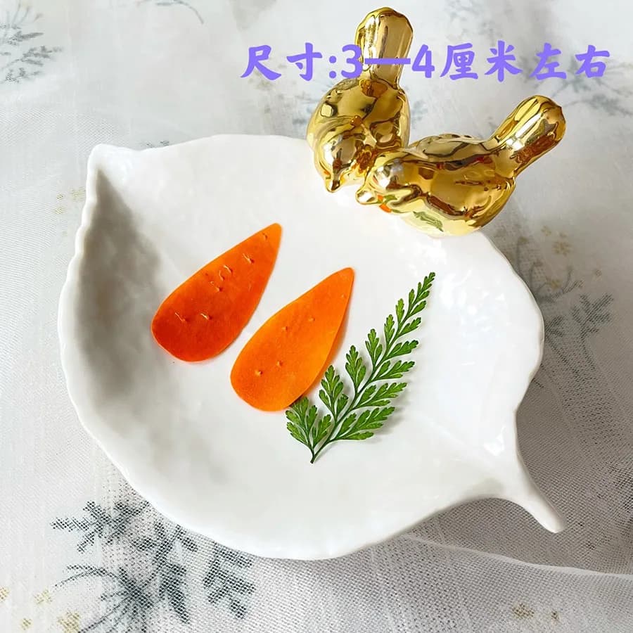 6 pezzi secchi pressati carota frutta verdura fette pianta erbacario per gioielli esterni cornice per foto cassa del telefono segnalibro Scrapbook fai da te