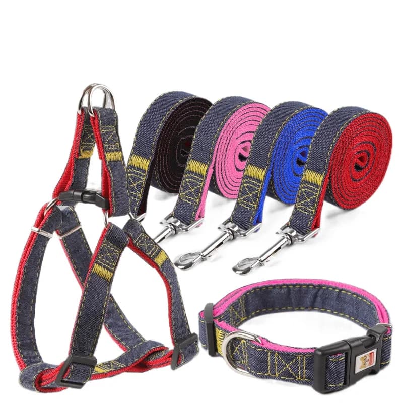 Set Guinzaglio e Pettorina per Cani, Collare Regolabile, Guinzaglio a Gilet per Cani Piccoli, Medi e Grandi, per Passeggiate e Addestramento, Accessori per Cani