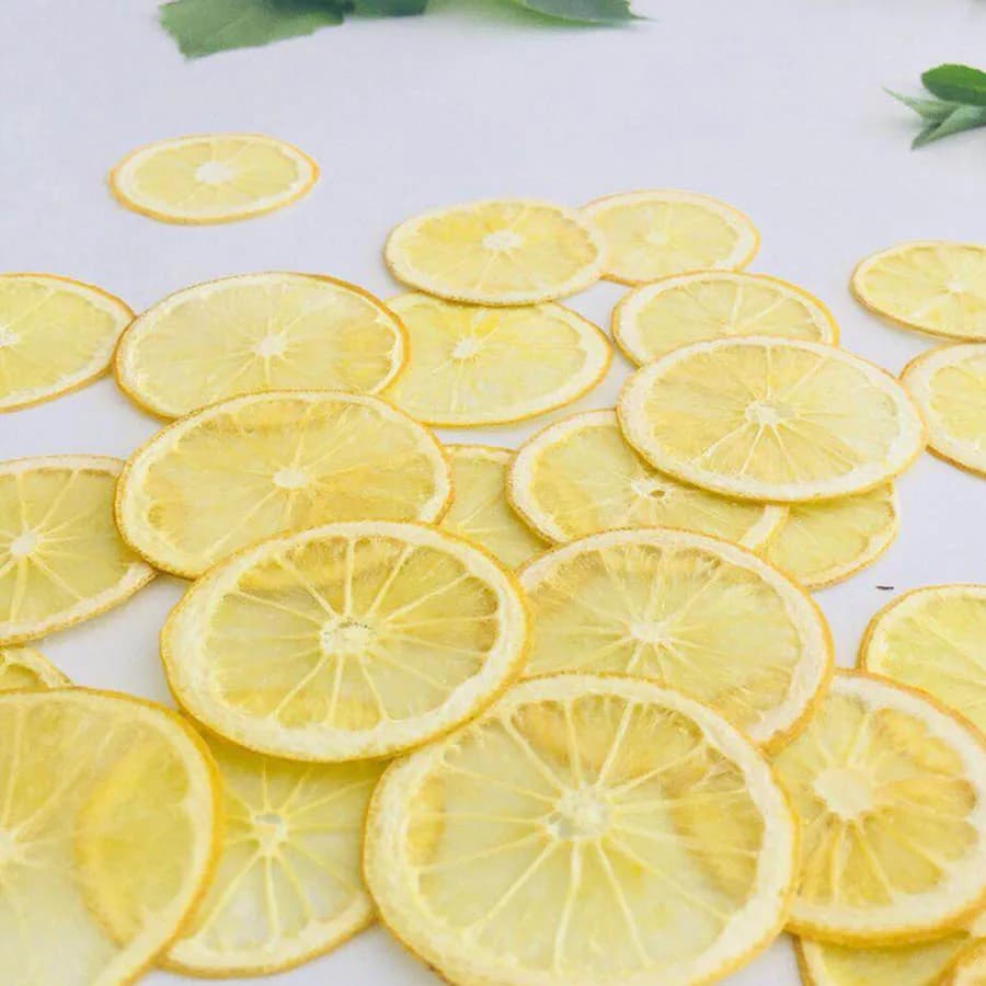 5 pz essiccato pressato 3-5cm giallo fette di limone pianta erbacario per gioielli cornice per foto cassa del telefono segnalibro cartolina fare fai da te