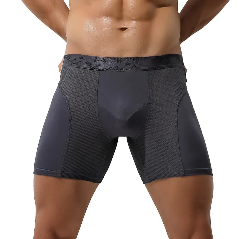 Men Underwear Modal Mesh Boxers Shorts Man Panties Breathable Pouch Long Leg Underpants Male Boxershorts Homme Large Size L-6XL