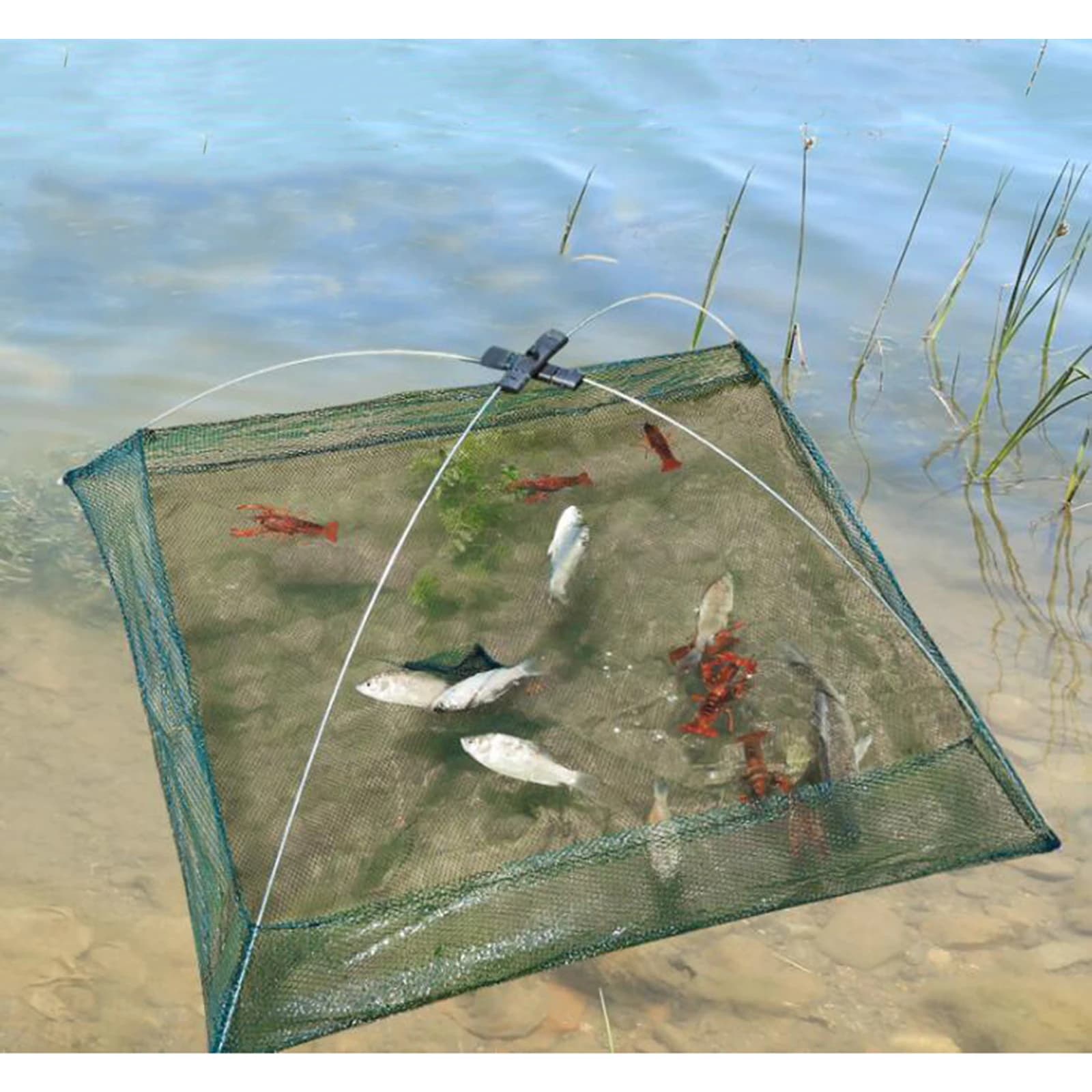 Rete da pesca a goccia/rete da atterraggio gamberi/gamberetti Catcher rete da lancio trappola per gabbia a rete per angoli trappola/gabbia rete per esche per gamberi