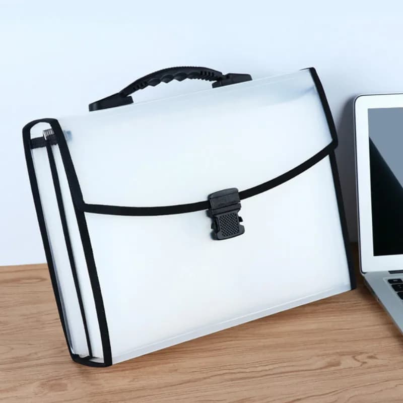 Cartella Portadocumenti A4 a Fisarmonica, Borsa Portadocumenti Multistrato Portatile, Borsa Portadocumenti Grande Capacità da 26 Scomparti, Regalo per Ufficio e Forniture Aziendali