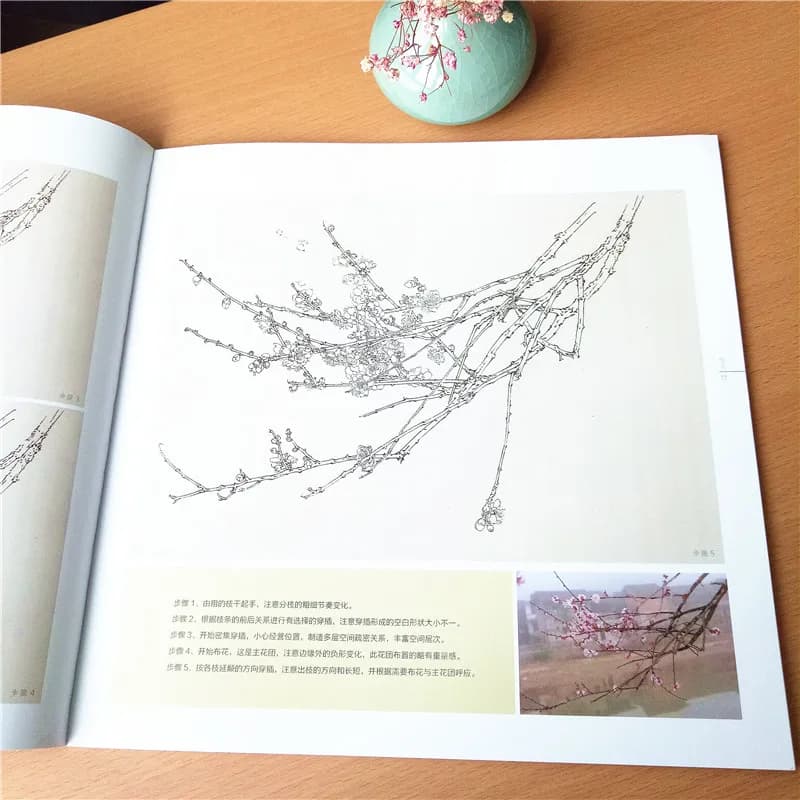 Chinese painting of plum blossom flowers plants fine brushstroke line sketch drawing manuscript spectrum books