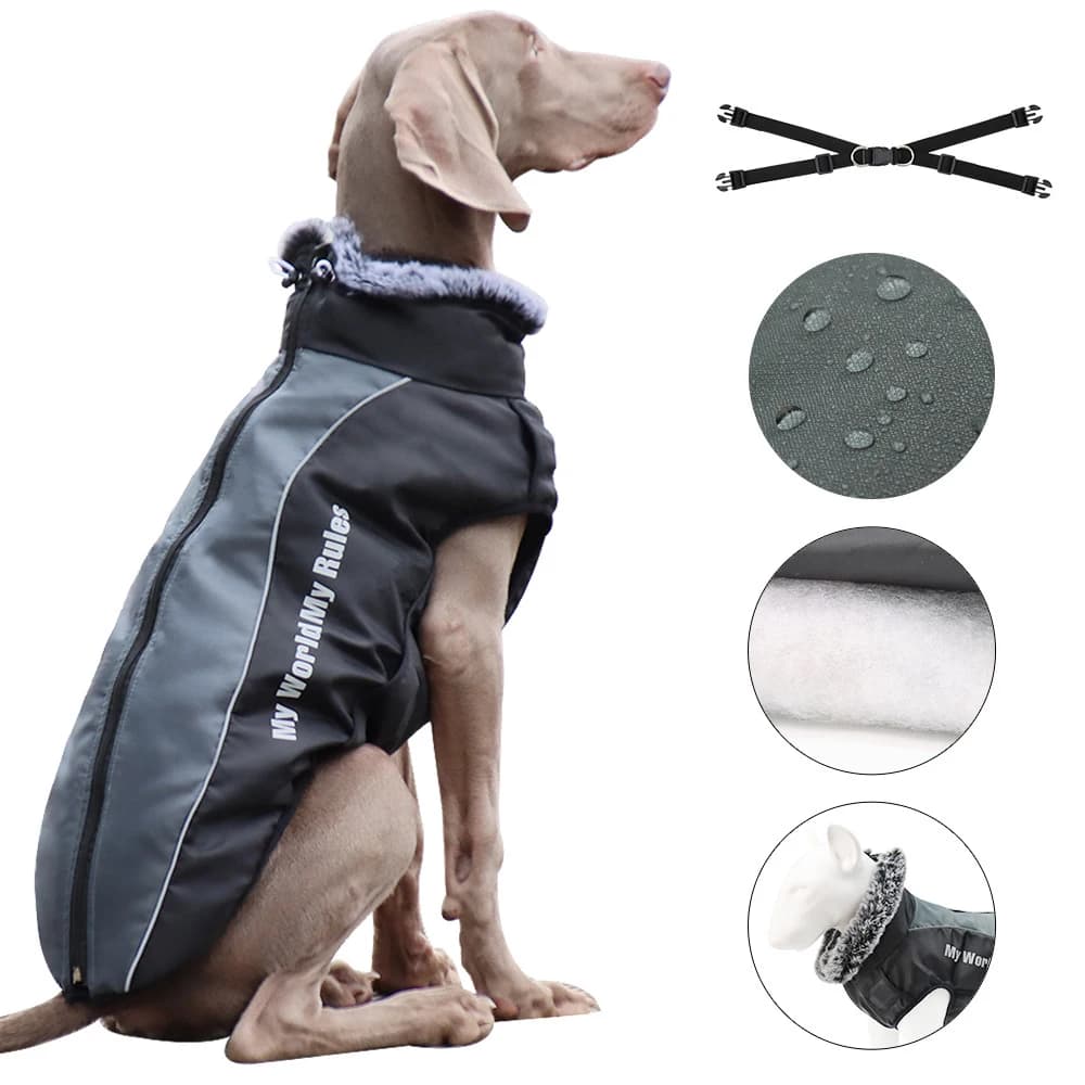 Vestiti per cani da compagnia Cappotto impermeabile per cani di grossa taglia Giacche invernali calde per cani da esterno con imbracatura da passeggio per cani di taglia media e grande in velluto