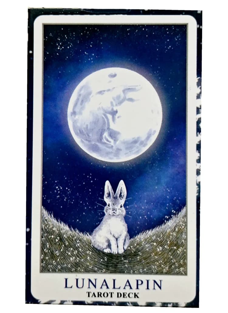 78 pezzi Tarocchi Lunalapin Coniglio Mazzo di tarocchi Carte dei tarocchi Gioco di carte Tarocchi Tavolo da festa Gioco da tavolo Mazzo di carte Carta Oracle di predizione della fortuna