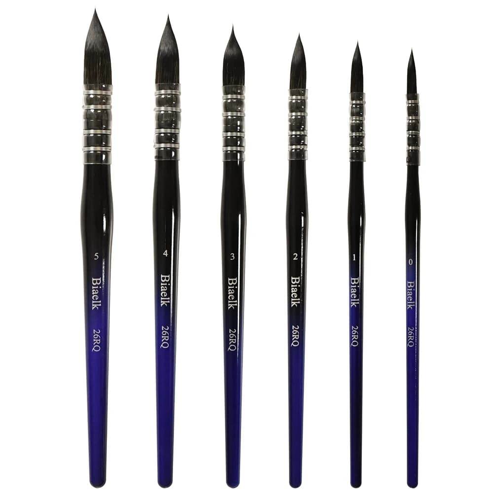 Biaelk 6PC/SET 26RQ Squirrel-Imitation Hair Resin Handle Watercolor Art Supplies For Artist Paint Pen Brush