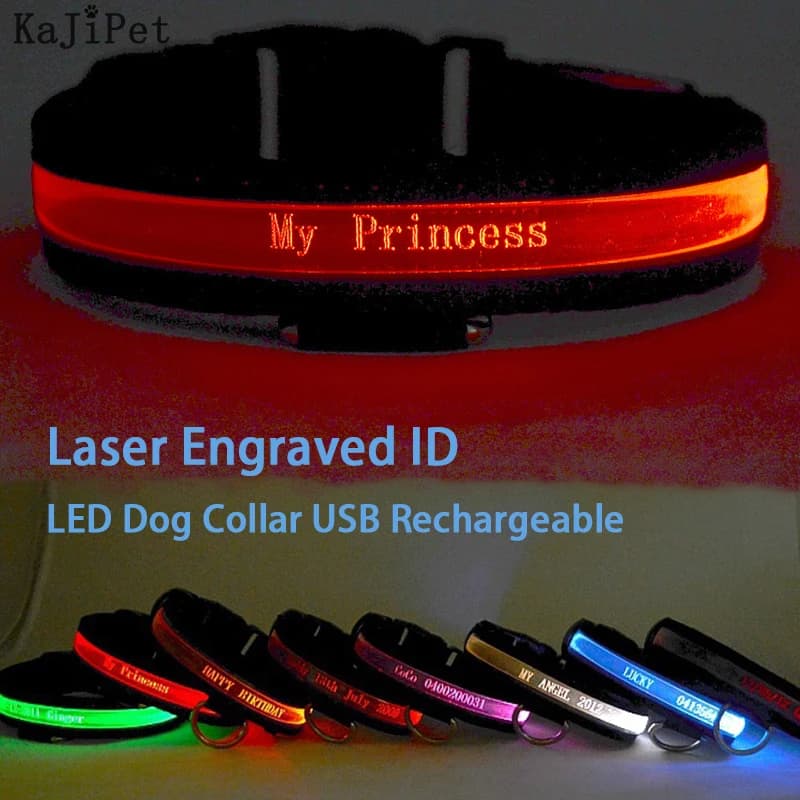 Collare per cani LED con ID inciso Etichetta per cani personalizzata USB luminosa Collare per cani in nylon personalizzato Collare di sicurezza notturno con luce USB a LED Perro
