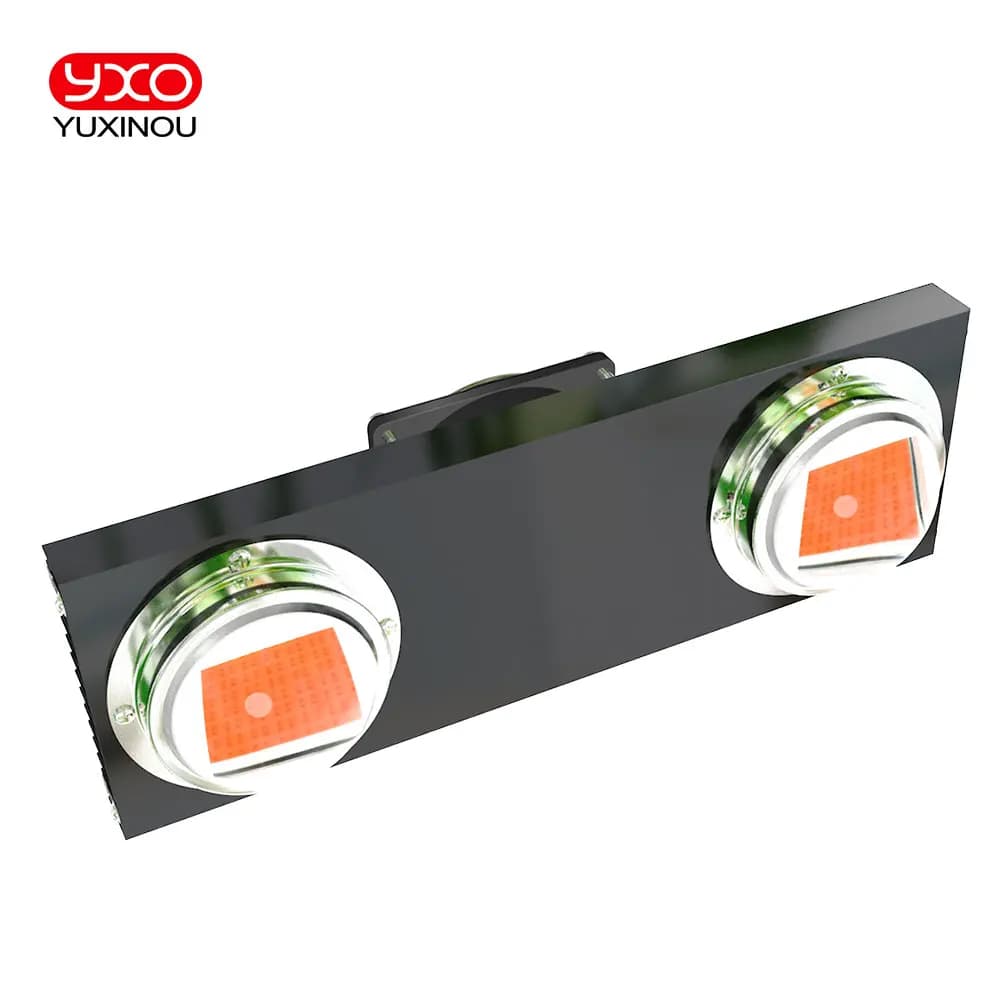 Spettro completo DOCB 300W 600W idroponica coltiva la luce Growbox Tenda pianta Semi COB LED Phytolamp per serre piante Fiore