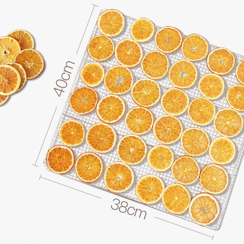 Essiccatore per frutta LT-016 per uso domestico, produzione di carne secca, frutta secca e verdura, essiccatore d'aria solubilizzante per fagioli