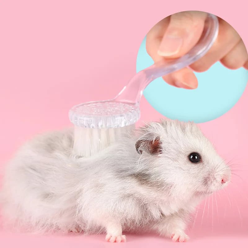 Spazzola Morbida per la Toelettatura degli Hamster, Accessori per Hamster, Pettine per Hamster, Spazzola per Piccoli Animali Domestici come Chinchilla e Hamster Dorato