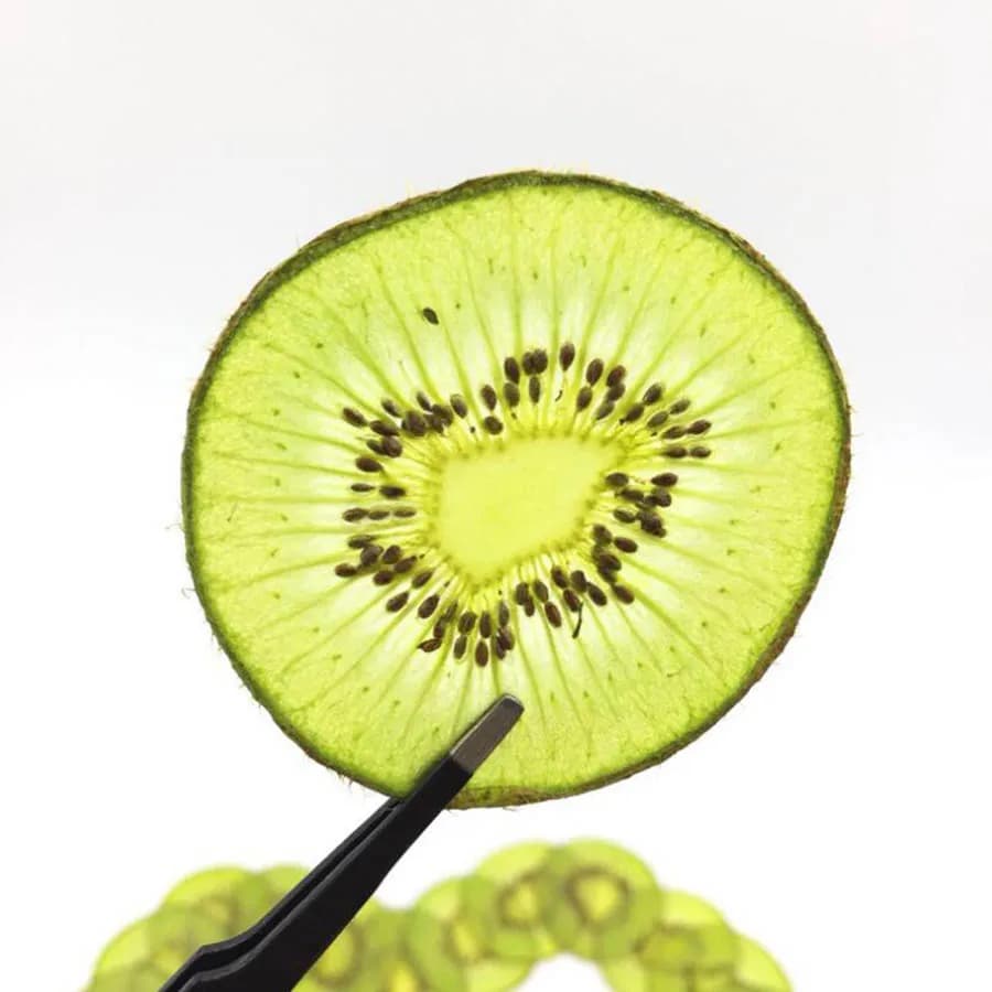 5 pezzi essiccati pressati a base di Kiwi fette di frutta erbacario per gioielli cornice per foto custodia per telefono artigianato fai da te accessori
