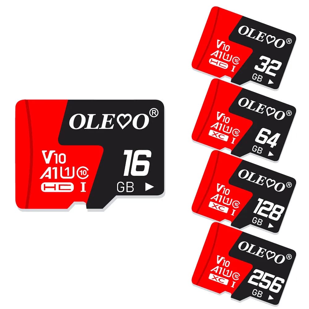 Scheda di memoria Class10 256GB 128GB 64GB 32GB 16GB Micro V10 scheda sd scheda flash 8GB 4GB di memoria TF/SD Card per telefono cellulare