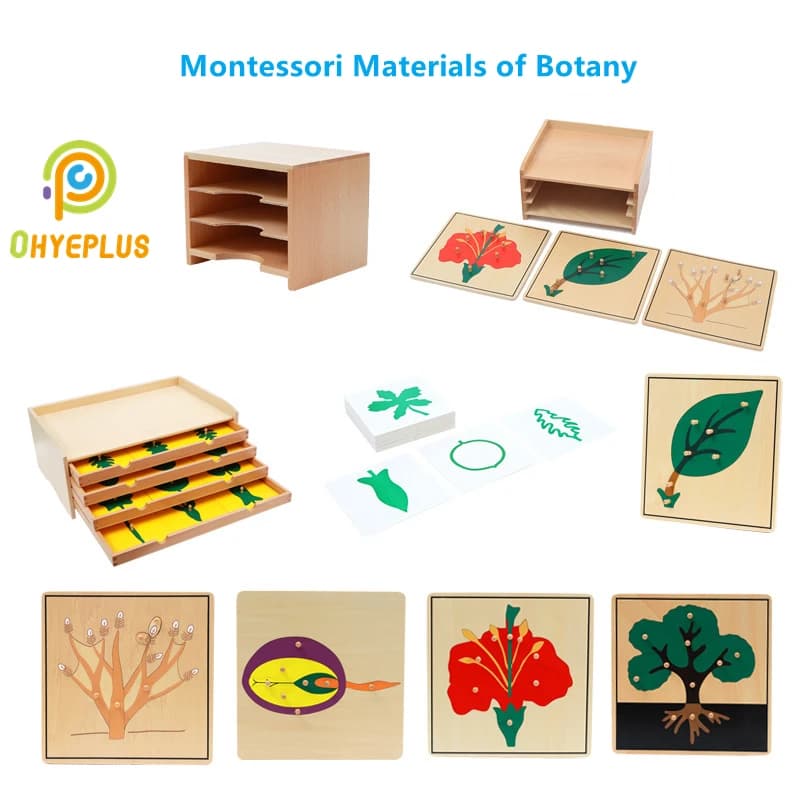 Montessori botanical teaching material Puzzle leaf cabinet and cards tree wood/flower/root/seed tool for learning Puzzle
