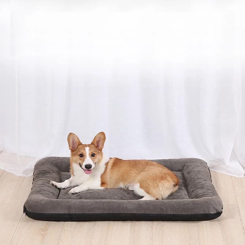 Letti per cani di grandi dimensioni in velluto a coste morbido e caldo cuscino per divano nido per gatti fondo impermeabile rimovibile lavabile tappetino per dormire accessori per cani