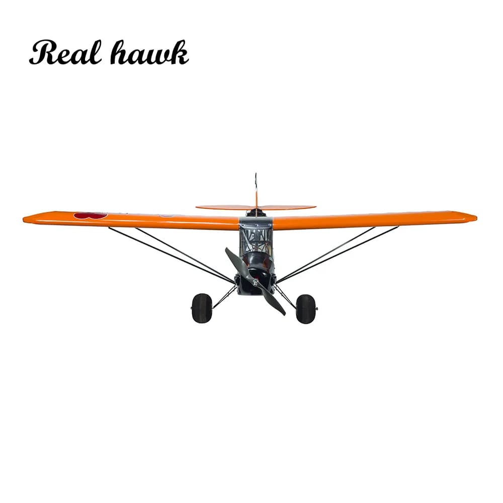ARF KIT Aereo RC Aerei in legno di balsa tagliati al laser SCG38 Modello RC 1000mm (39,4 pollici) Savage Bobber Scala fai da te Aereo RC