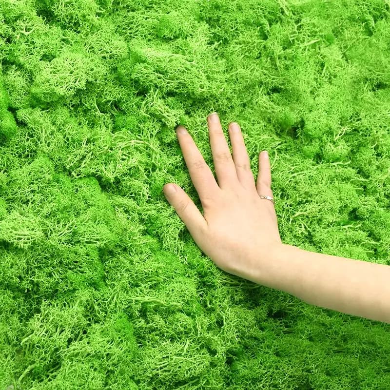 40g piante verdi artificiali vita eterna muschio erba casa soggiorno decorazione del giardino Mini paesaggio fiore finto artigianato fai da te