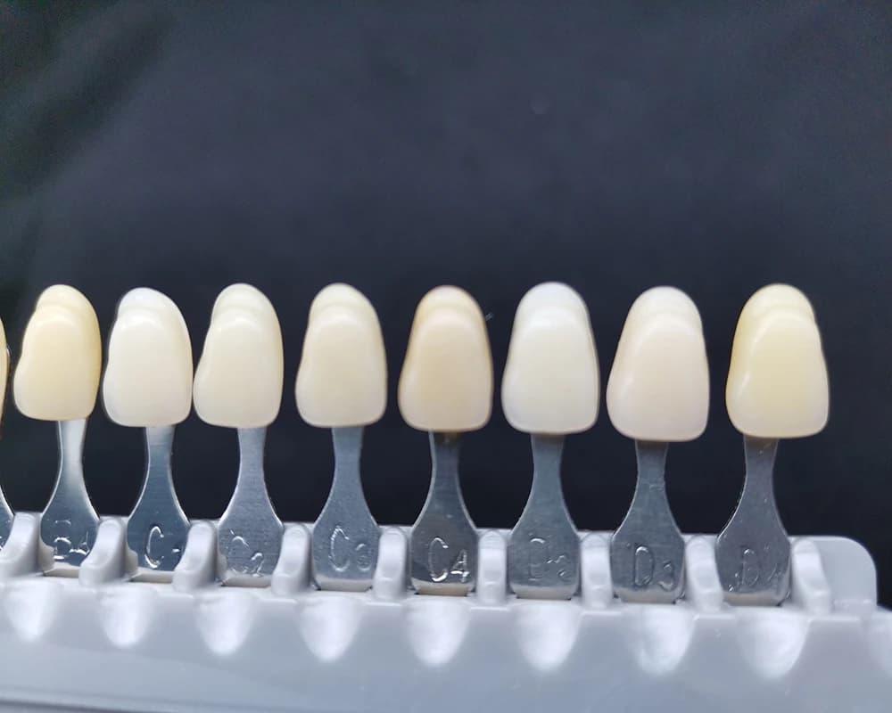 Piastra colorimetrica in resina con guida per ombra modello dente a 16 colori per kit di strumenti dentali abbinati all'ombra per sbiancamento dei denti