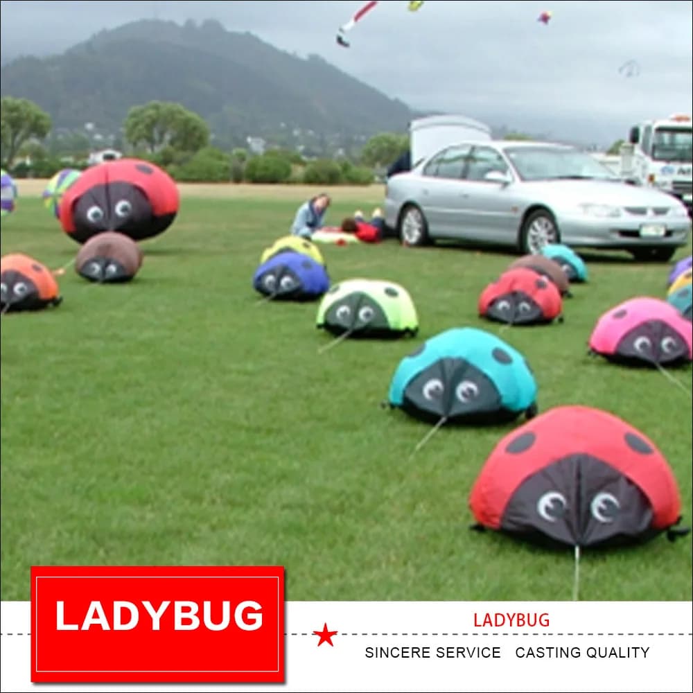 New arrives 3D soft coccinella line of inflatable kite pendant laundry for kite festival fun outdoor toys